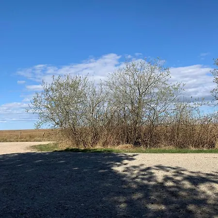 Nyaraló Secluded Cozy Cottage-by Traum